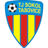 Сокол Тасовице