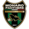 Монаро Пантерс U23