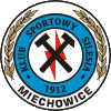 Силезия Меховице