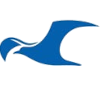 Хеугесунн U19