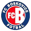 Босковице