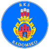 Радомско