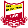 Хойничанка 2