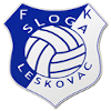 Слога Лесковац