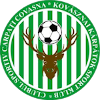 Карпати Ковасна