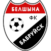 Белшина Бобруйск