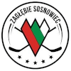 Заглембе Сосновец