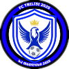 Варкетили Тбилиси