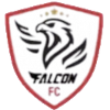 Фалькон U20