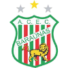 Бараунас U20
