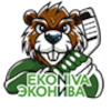 ХК ЭкоНива-Бобров